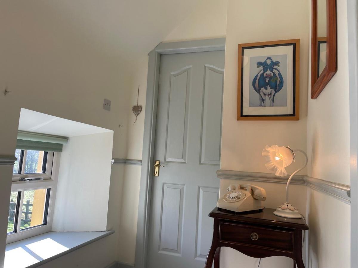 Mai'S Cottage Suite - Charming Holiday Rental Kilmallock المظهر الخارجي الصورة